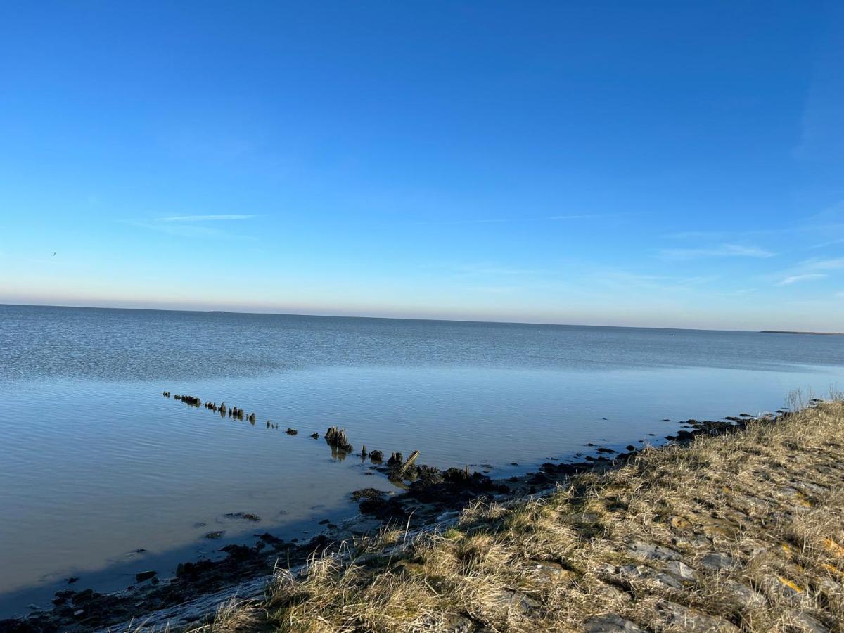 Villa Nieuwland B&B Den Oever Eksteriør bilde