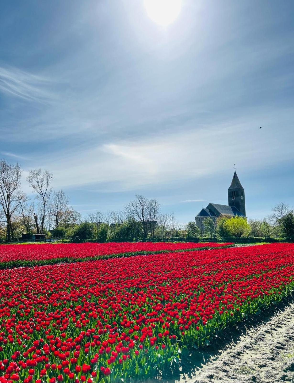 Villa Nieuwland B&B Den Oever Eksteriør bilde